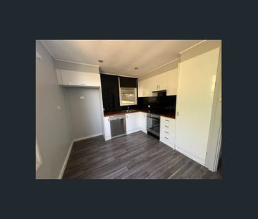 for Rent | 12 Month Lease | Available 27th October. - Photo 5