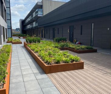Bundweg, Katendrecht, 3072JX, Rotterdam - Photo 6