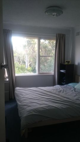 Hurlstone Park - Photo 4