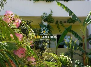 Μονοκατοικία για ενοικίαση - Νικηφόρος Φωκάς, - Φωτογραφία 3