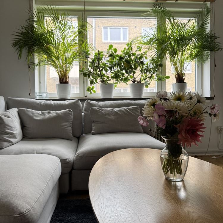 Uppsalagatan - Foto 1