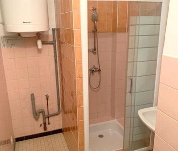 Location Appartement 2 pièces 30m² MILLAU 12100 - Photo 5