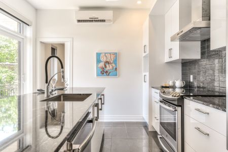 Condo for rent, Montréal (Le Plateau-Mont-Royal) - Photo 5