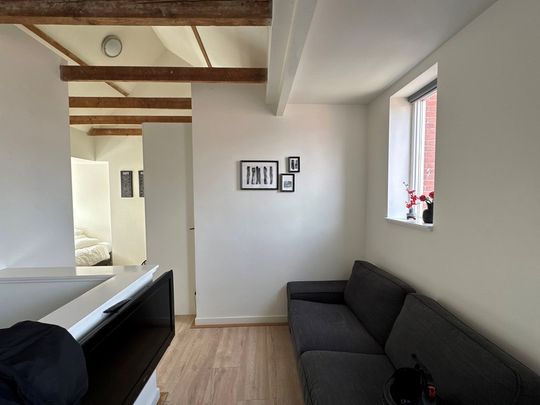 Studio Groningen - Hoendiep - Foto 1