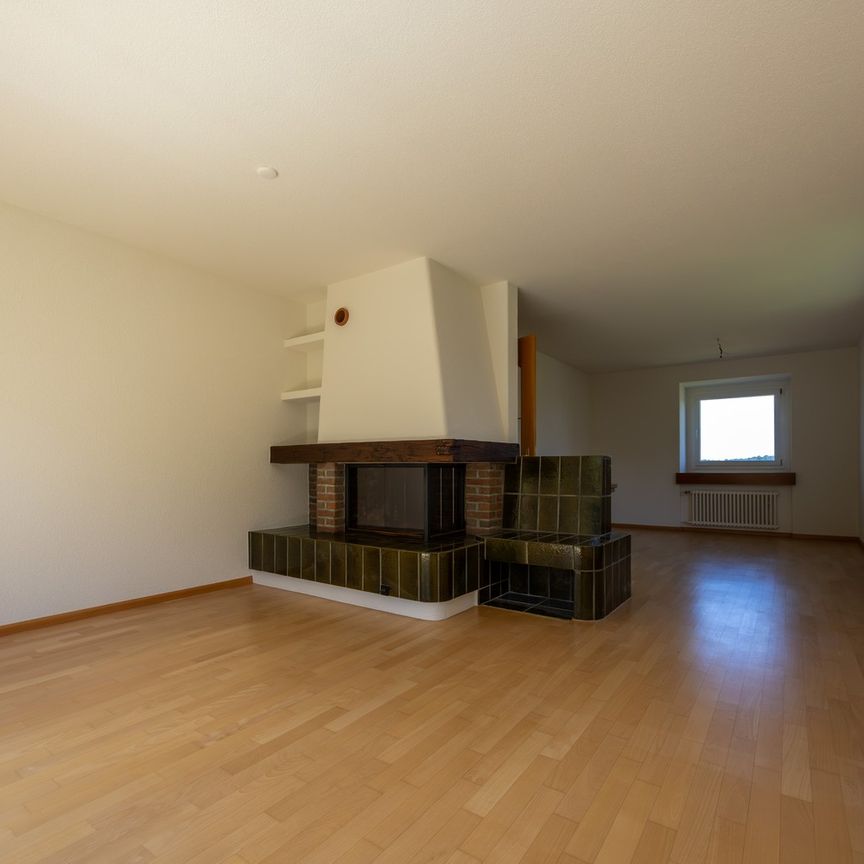 Einfamilienhaus mit Umschwung und unverbauter Nachbarsparzellen zu vermieten - Photo 1