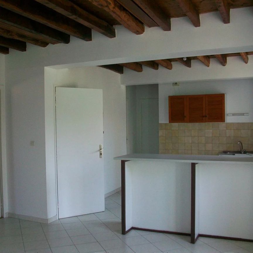 Location Appartement 3 pièces 58m² GRETZ ARMAINVILLIERS 77220 - Photo 1