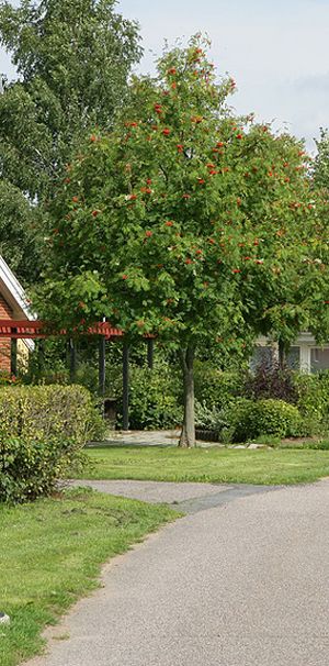 Järnvägsgatan 6 A, Marieholm - Photo 1