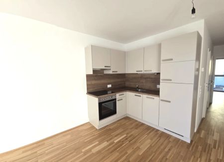 GEFÖRDERTE 3 Zimmern mit großer LOGGIA - Dornschneidergasse 27 - Top 005 - Foto 5