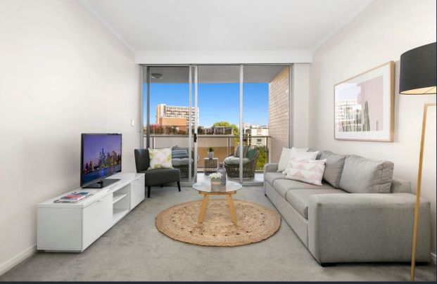 Beautiful 2 Bedroom Apartment in the Heart of Waterloo - Photo 1