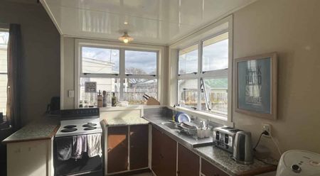 Student Rental - Five Bedrooms - Centrally Located - Photo 3