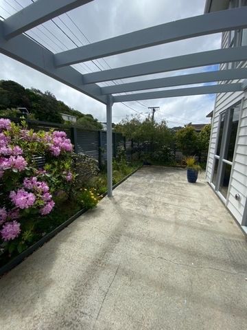 41 Philip Street, Johnsonville - Photo 4