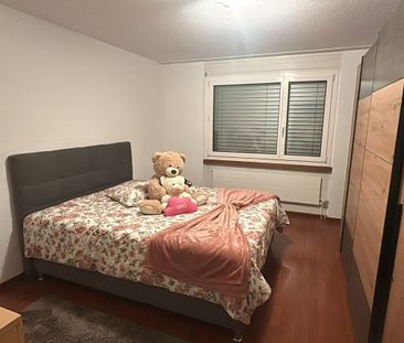 Rent a 3 ½ rooms apartment in Birr - Photo 3