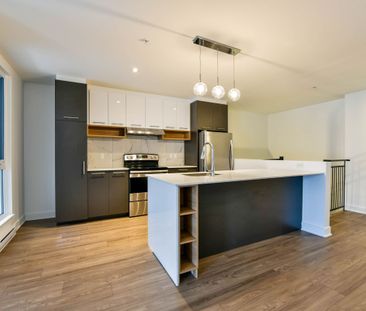 9675 Av. Papineau - Photo 1