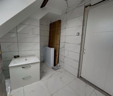 Location Appartement 1 pièce 22m² SELESTAT 67600 - Photo 5