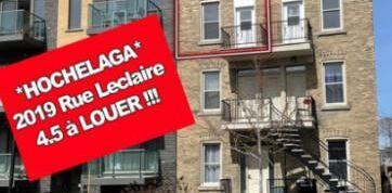 4 1/2 - Montréal (Hochelaga / Maisonneuve) - 1 750 $/mois - Photo 2