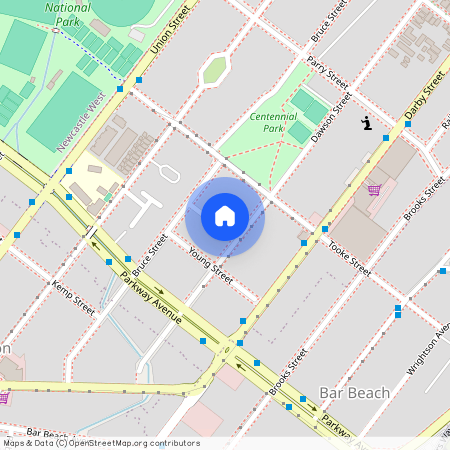 122 Dawson Street, NSW 2300, Cooks Hill