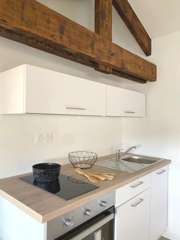 Location Appartement 2 pièces 28m² ROMANS SUR ISERE 26100 - Photo 4