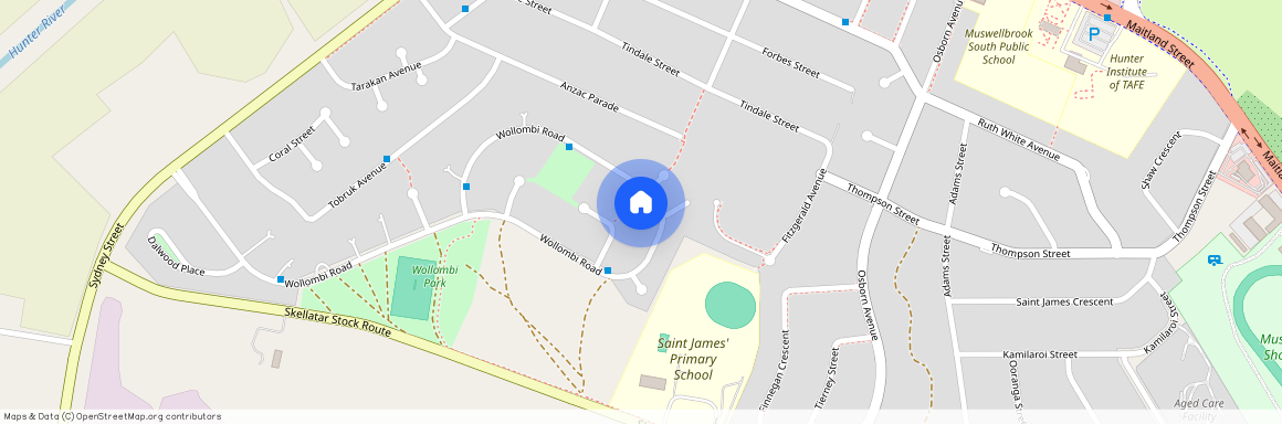 92 Wollombi Road, NSW 2333, Muswellbrook