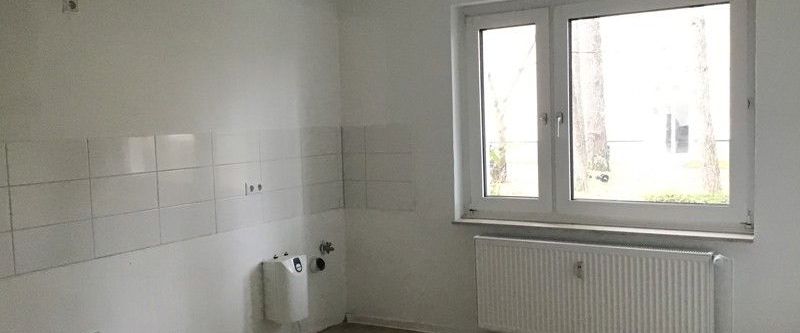 2 Zimmer-Wohnung im Erdgeschoss / Stadtteil Senne - Photo 1