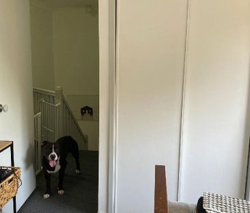 Labrador - Photo 5