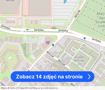 NOWE MIESZKANIE NA WYNAJEM – Winogrady - Wilczak - Zdjęcie 1