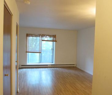 Appartement studio / bachelor à louer Ville St-Laurent - Bois-Franc... - Photo 2