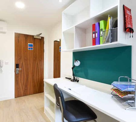 Studio Bronze - Photo 5