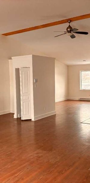 Loft à Louer 3 1/2 - Photo 1