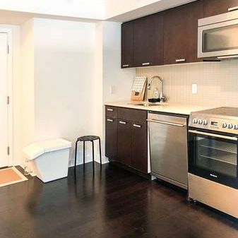 1 Bed and 1 Bath - The Pinnacle on Adelaide Condominiums - Photo 3