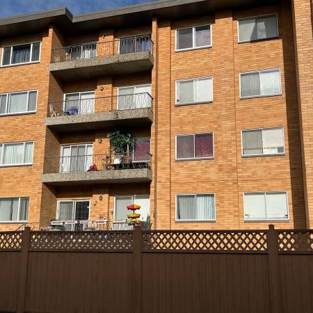 Large Updated 2br Apt, Heating/Hot Water included - Photo 4