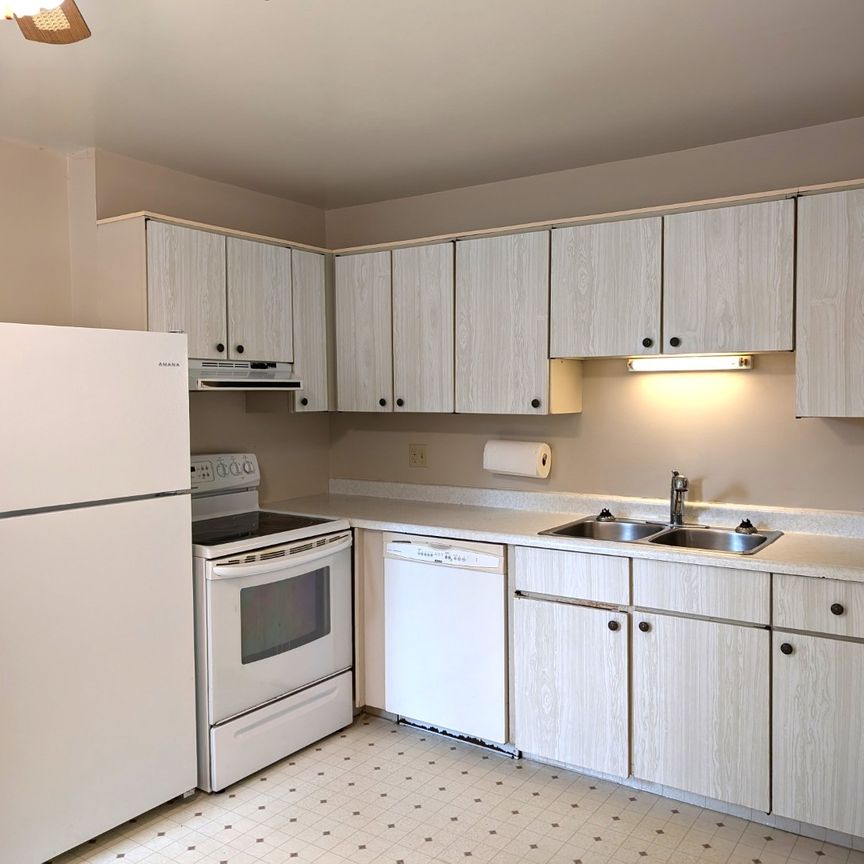 Strath Lane, Dartmouth 12-076 - Photo 1