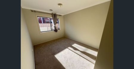 Newly Renovated House in Truganina - Photo 5