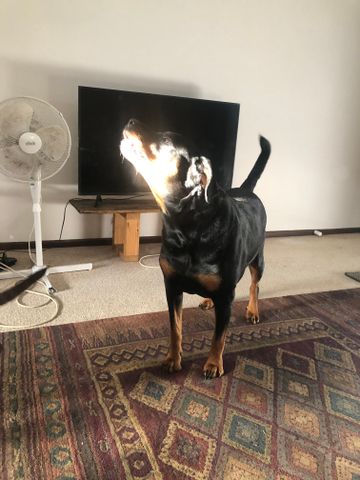 Cranbourne - Photo 3