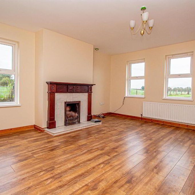 170 Dunminning Road, Glarryford, Ballymena, BT44 9ET - Photo 1