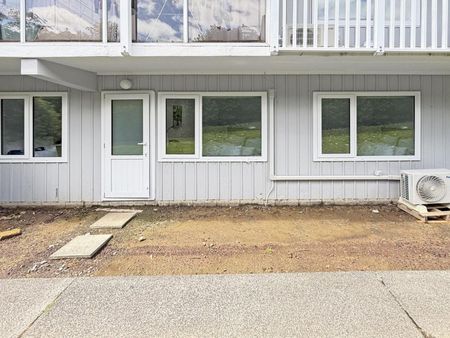 Newly Renovated Garden Apartment - Photo 5