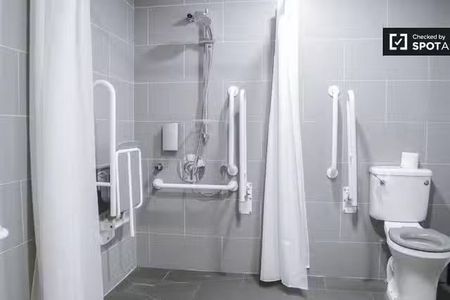 Serviced studio apartment for rent in The Liberties, Dublin - Photo 5