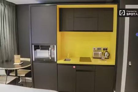 Serviced studio apartment for rent in The Liberties, Dublin - Photo 3