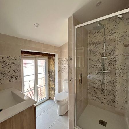 Location Appartement 2 pièces Meublé 30m² AIRE SUR L ADOUR 40800 - Photo 4