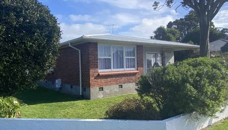 Central New Plymouth - Photo 2