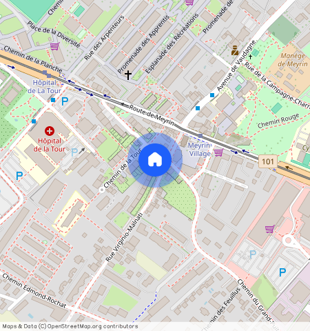 1217 Meyrin, Rive Droite (Campagne)