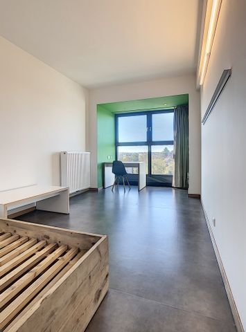 FOR STUDENTS ONLY! Studio for rent at THE LINK - Photo 4