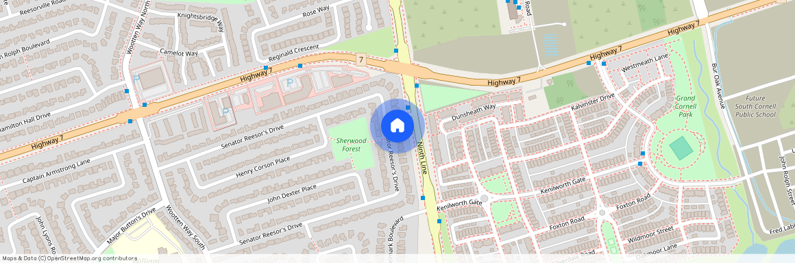 78 Senator Reesor's Drive, Markham