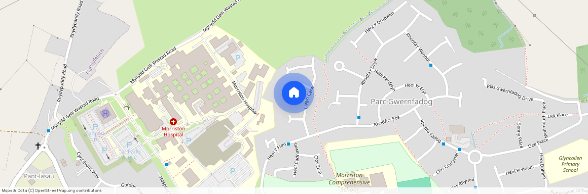 Clos Cadno, Cwmrhydyceirw, Morriston, SA6, Swansea