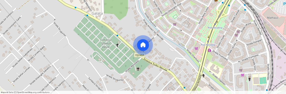 Nicolina 1, Iasi, Iasi