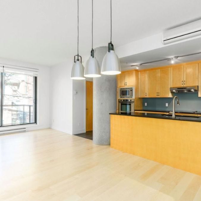 Magnifique Condo en face des plaines - Photo 1