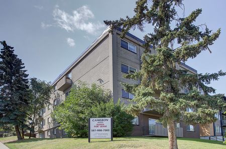 1909 12th St SW, Calgary - Photo 4