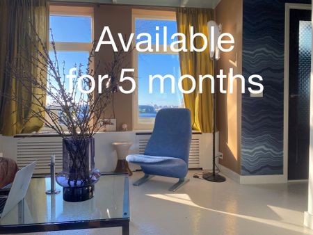 Schellingwouderdijk 93, 1023 NA Amsterdam - Foto 2