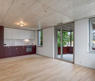 Auwi - Where Urban Meets Green - Foto 2
