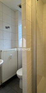 Location Appartement 1 pièce 24m² STRASBOURG 67200 - Photo 3