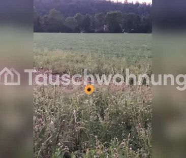 3 Zimmer, 60 m², 1. Stock - Foto 2